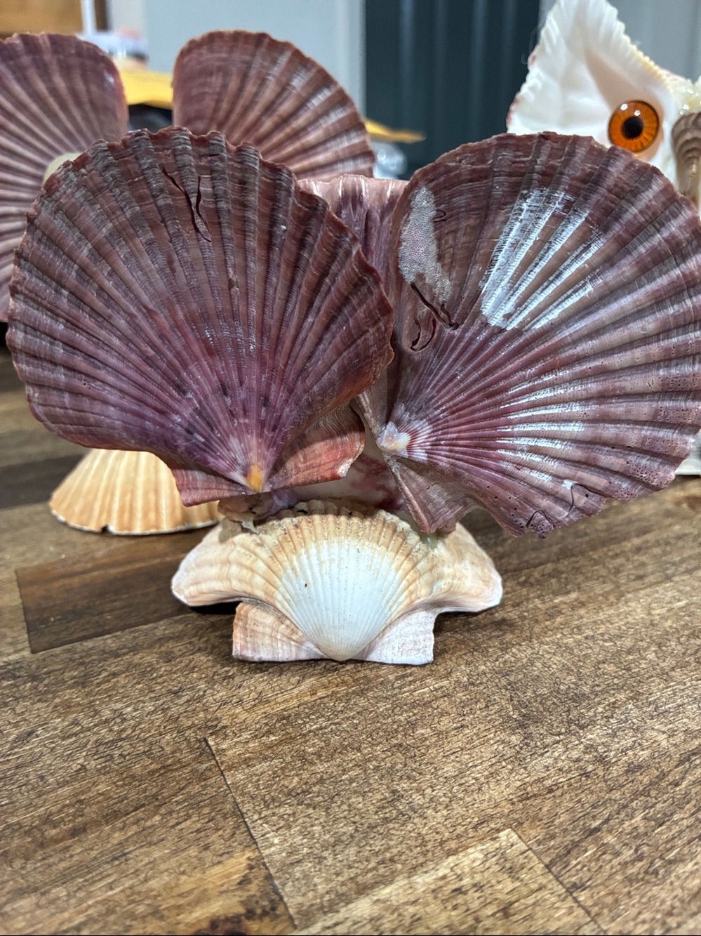Seashell Elephant Figurine in Pink and Cream - Picture 2 of 5